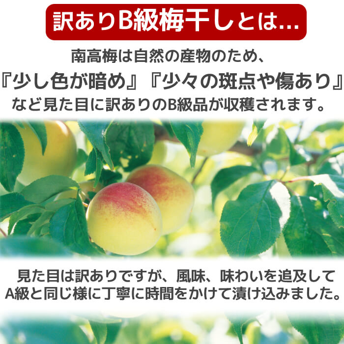 キズやシミがありますが、風味変わらずお得なパックです!