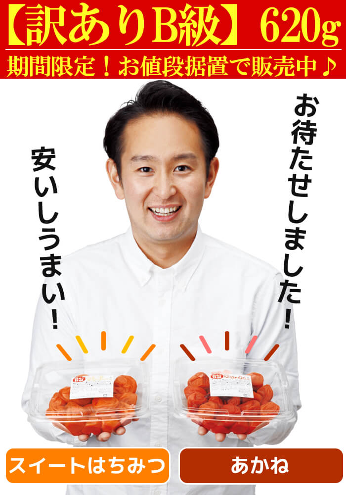 【B級梅干】多少のキズ。はん点がありますが、お味は変わらずおトクです!