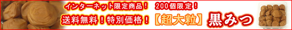 �y���������z���嗱���݂�600��