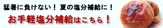 �Ẳ����⋋�ɁI����y�����⋋�~�����E�~���i