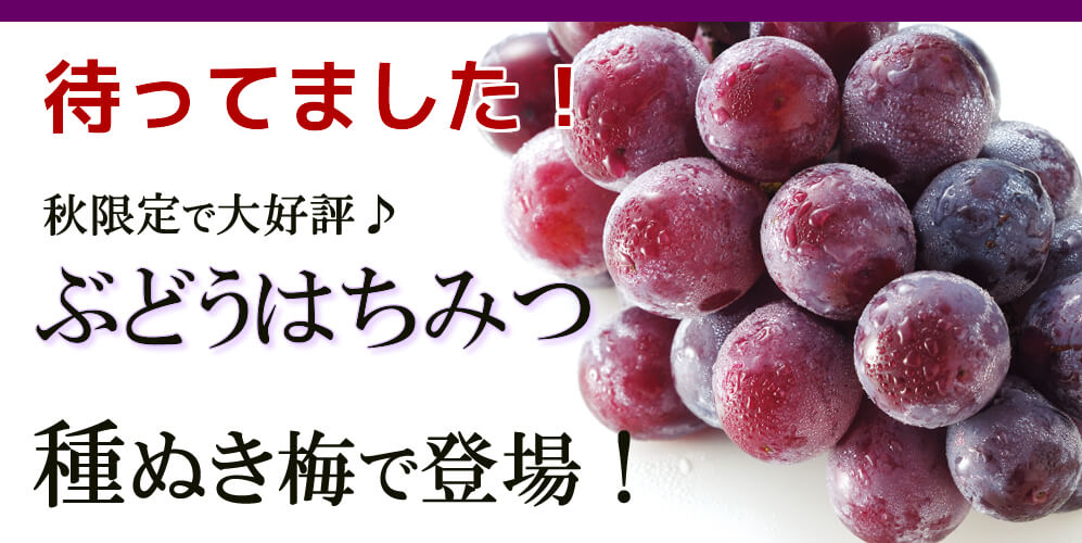 秋限定♪送料無料!ぶどうはちみつ梅