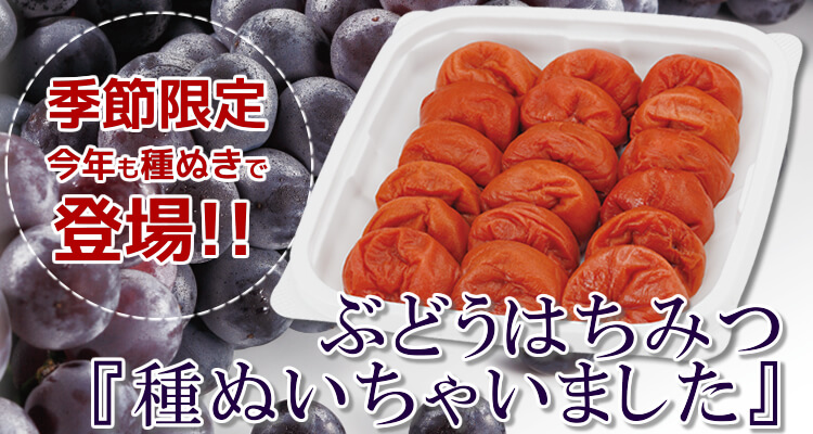 秋限定♪送料無料!ぶどうはちみつ梅