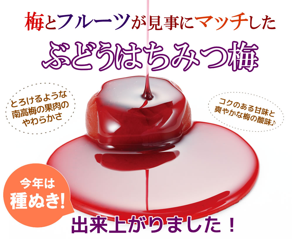秋限定♪送料無料!ぶどうはちみつ梅