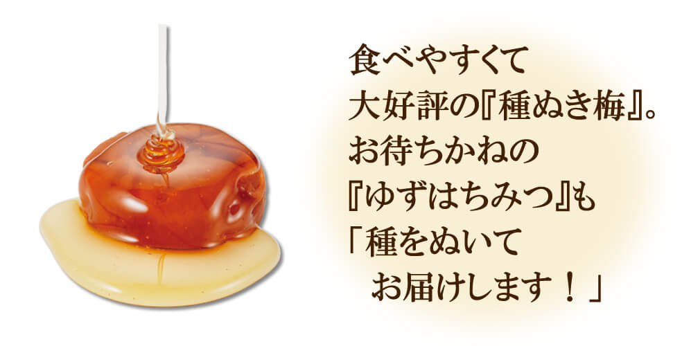冬限定♪送料無料!ゆずはちみつ梅