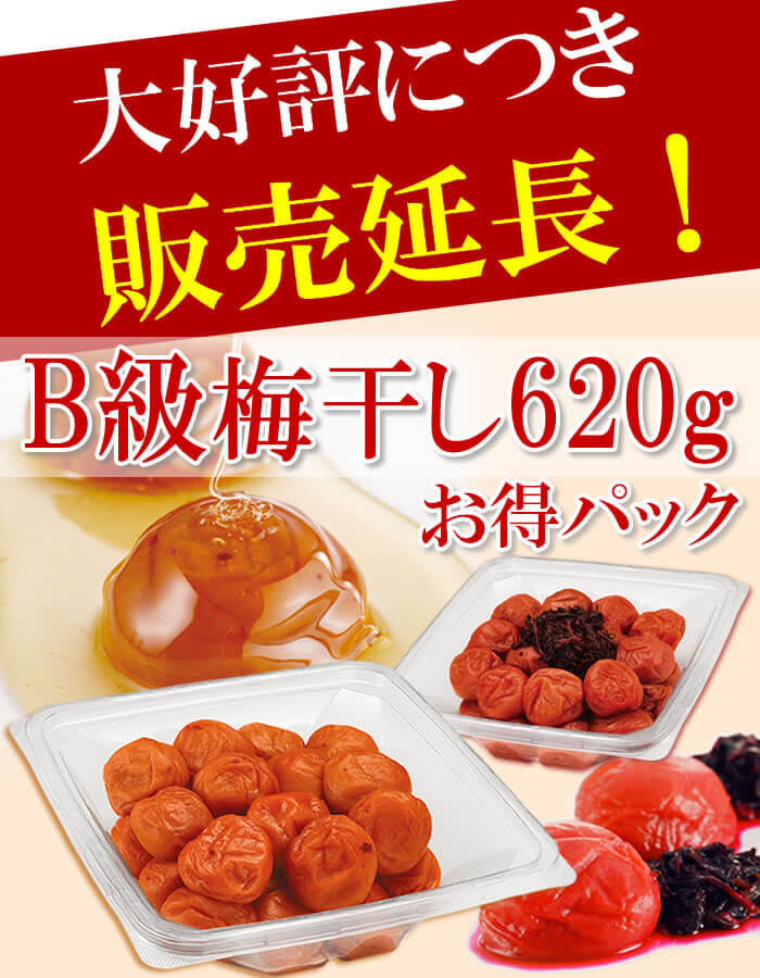 【B級梅干】多少のキズ。はん点がありますが、お味は変わらずおトクです!