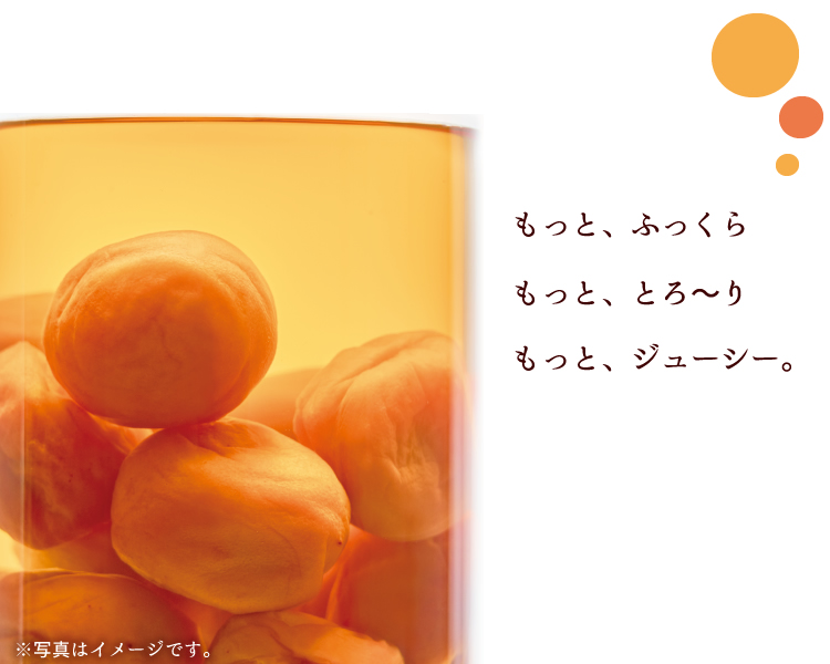 新登場♪たっぷりみつがけスイート