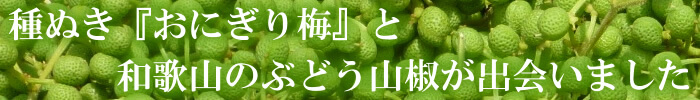 種ぬき ぶどう山椒『おにぎり梅』
