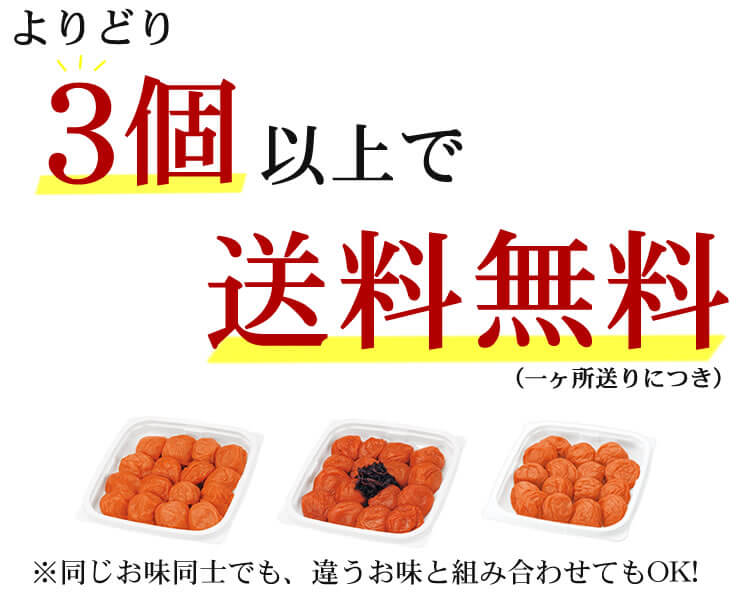 ご家庭用エコパック380g