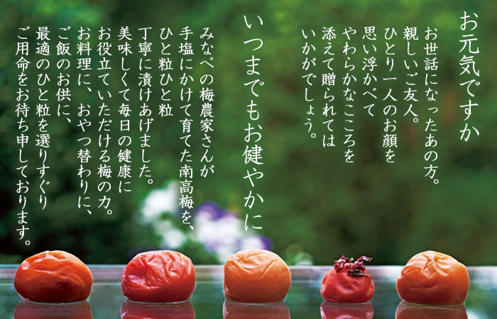 送料無料 ご贈答会場