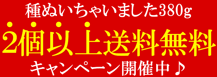冬限定♪送料無料!ゆずはちみつ梅