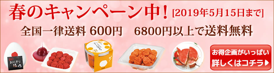 春のキャンペーン