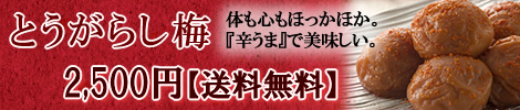 とうがらし梅