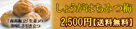 しょうがはちみつ梅