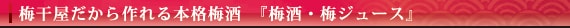 �~�������������{�i�~���@�w�~���E�~�W���[�X�x