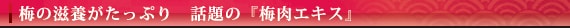 �~�̎��{�������Ղ�@�b��́w�~���G�L�X�x