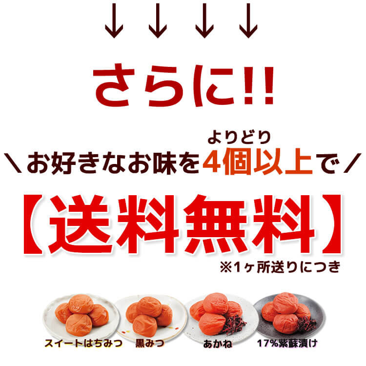 新登場 パクパクパック