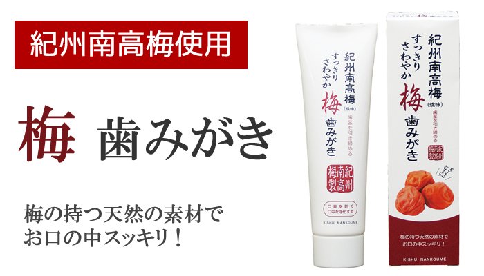 【梅歯みがき/梅歯磨き】紀州南高梅使用