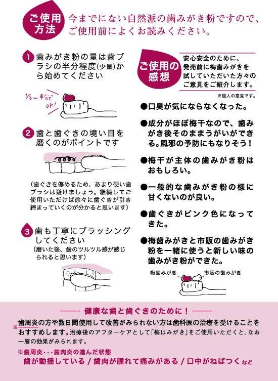 【梅歯みがき/梅歯磨き】紀州南高梅使用