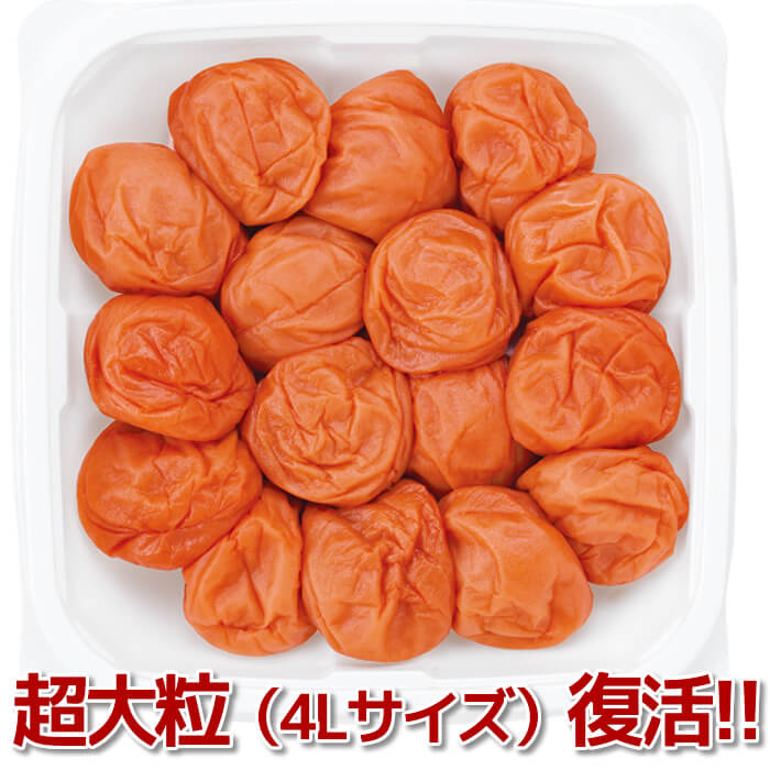 料理にも♪梅干しでアレンジいろいろ!ご家庭用エコパック380g