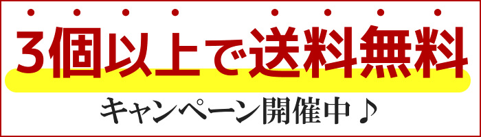 料理にも♪梅干しでアレンジいろいろ!ご家庭用エコパック380g