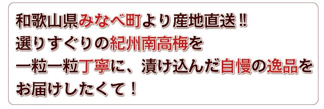 梅干のお得なセット