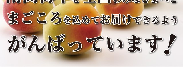 梅干のお得なセット