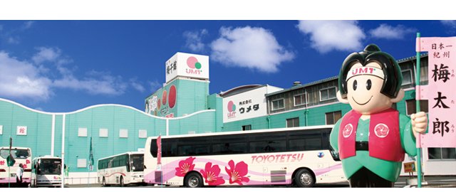 梅干のお得なセット