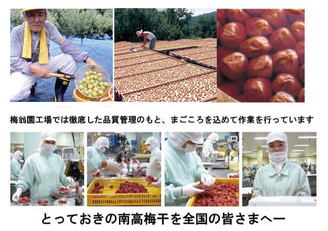 梅干のお得なセット