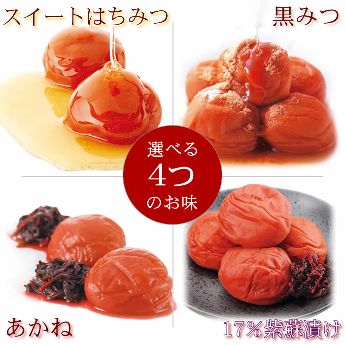 新登場 パクパクパック