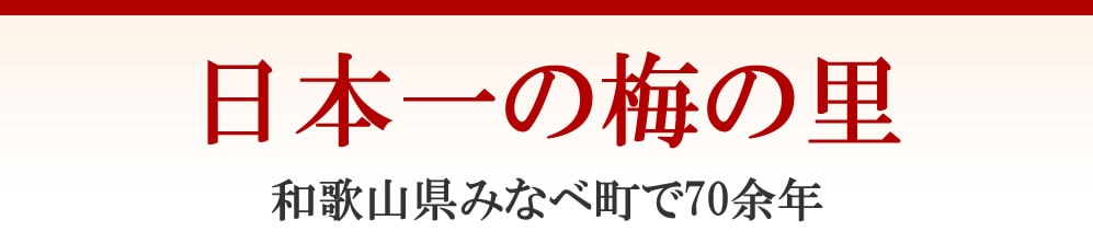 日本一の梅の里 和歌山県南部町で70余年