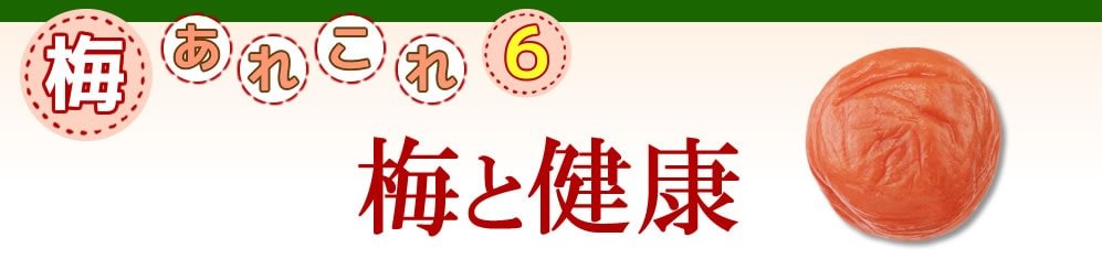 梅あれこれ 梅と健康