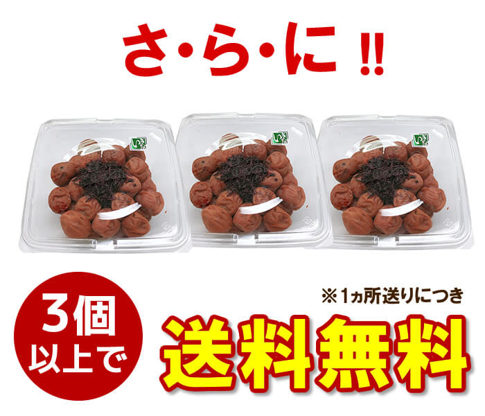訳ありB級 いきな