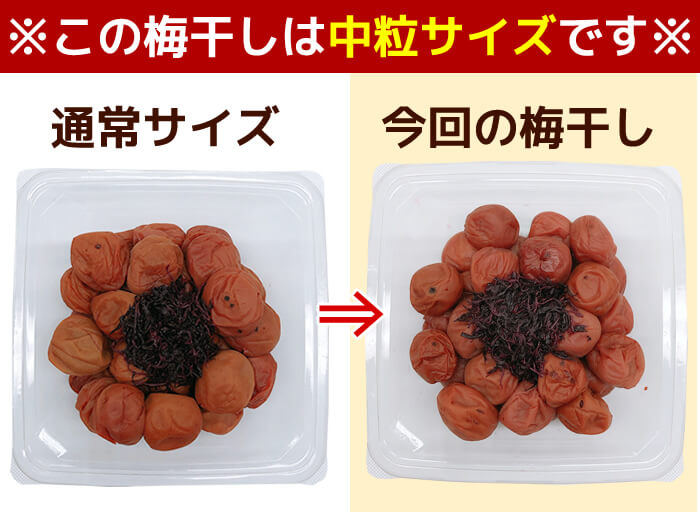 訳ありB級 いきな