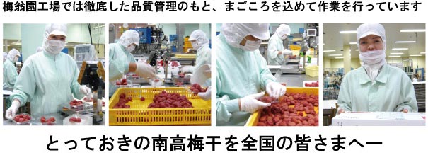 あかね つぶれ梅