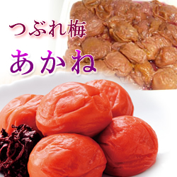 【つぶれ梅】あかね