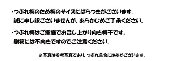 スイートはちみつ　つぶれ梅