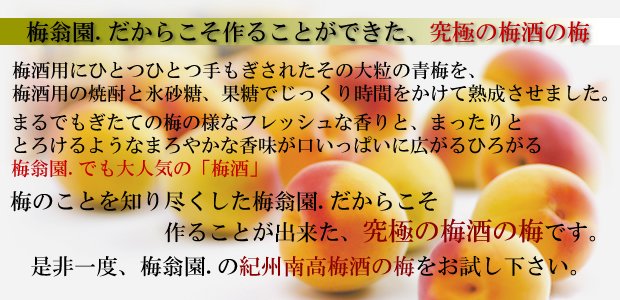 梅酒の梅