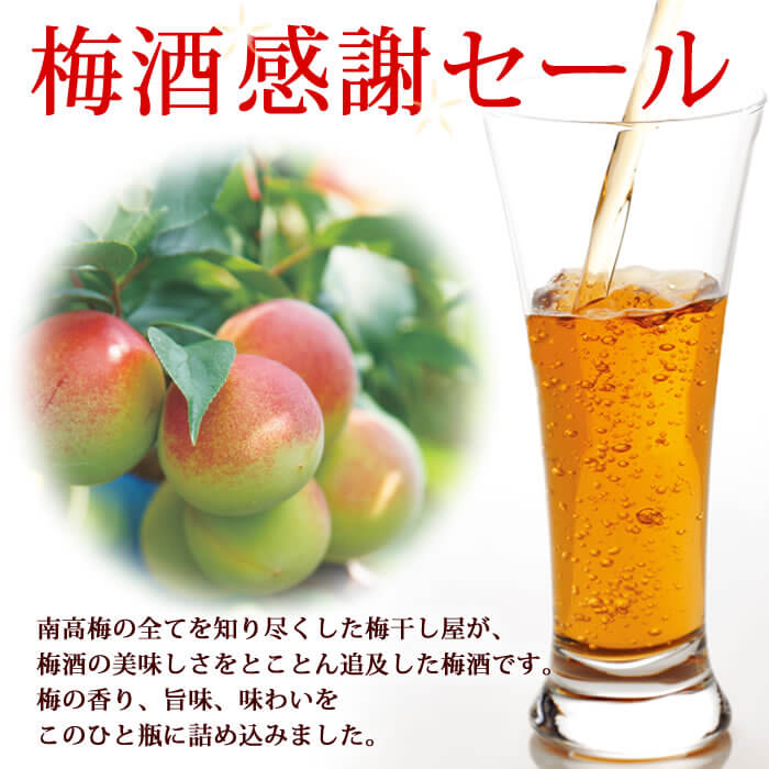 メイン