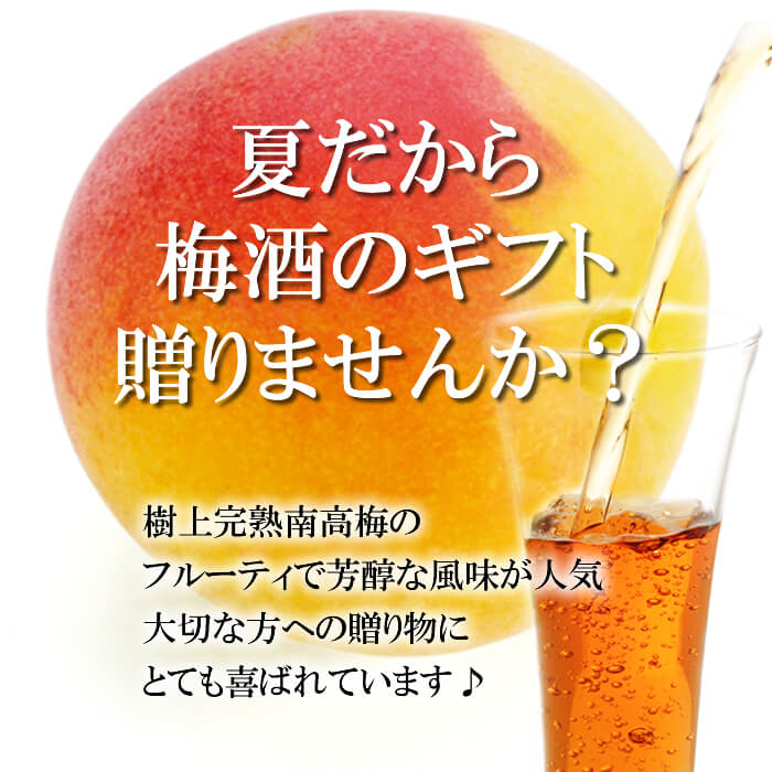 完熟紀州南高梅 使用 梅酒 ギフトに