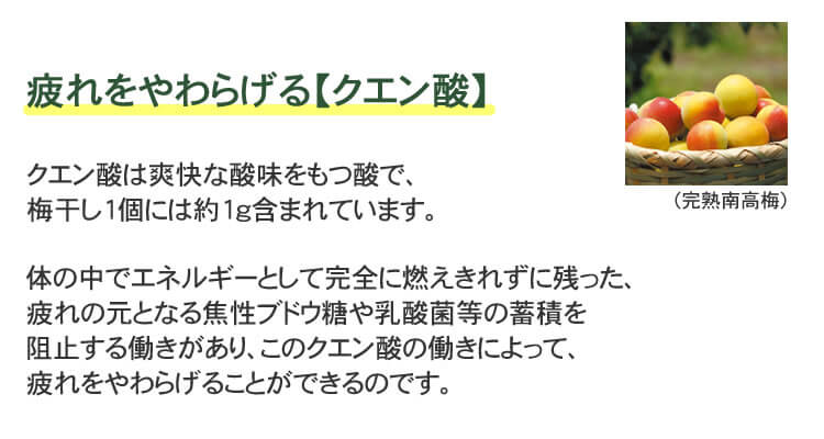 こんな方におすすめ♪・手軽に梅干しの栄養成分をとりたい方!・毎日の健康習慣に!・梅干しの塩分が気になる方に!・偏った食事でミネラルが不足しがちな方に!