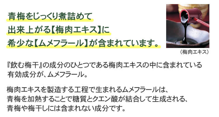 こんな方におすすめ♪・手軽に梅干しの栄養成分をとりたい方!・毎日の健康習慣に!・梅干しの塩分が気になる方に!・偏った食事でミネラルが不足しがちな方に!