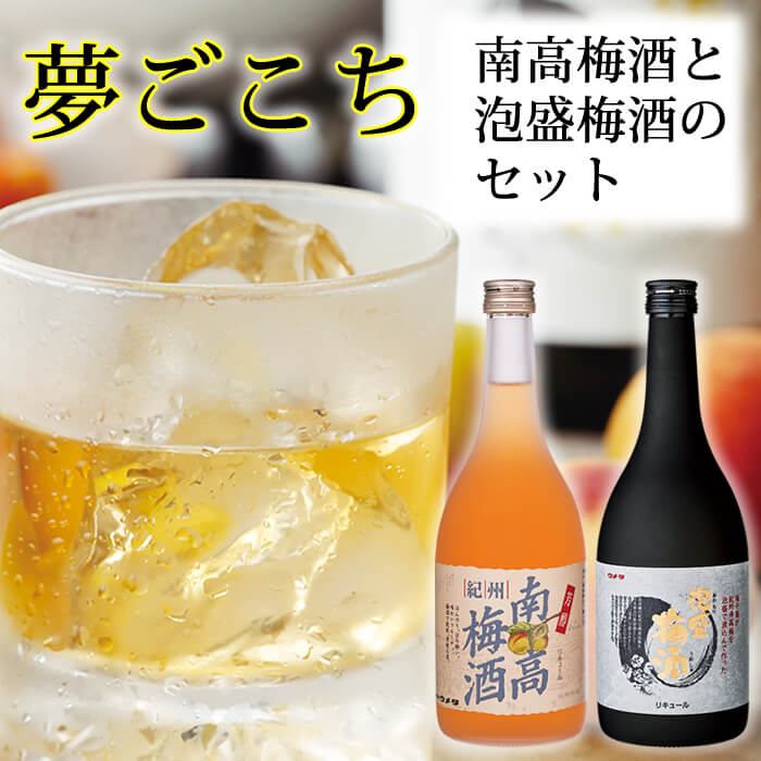 紀州南高梅セット 夢ごこち 梅干し 紀州 梅干 の通販は梅翁園 ばいおうえん 紀州南高梅セット 夢ごこち 梅干し 紀州 梅干 の通販は梅翁園 ばいおうえん