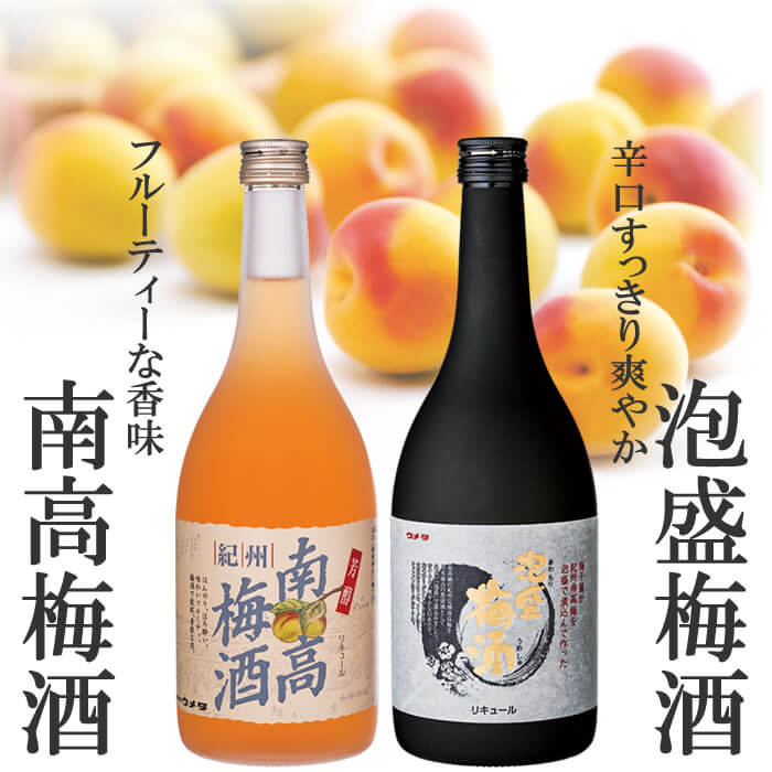 紀州南高梅セット 夢ごこち 梅干し 紀州 梅干 の通販は梅翁園 ばいおうえん 紀州南高梅セット 夢ごこち 梅干し 紀州 梅干 の通販は梅翁園 ばいおうえん