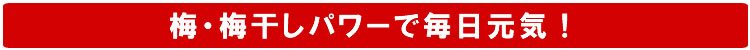 梅干しパワーで毎日元気！！