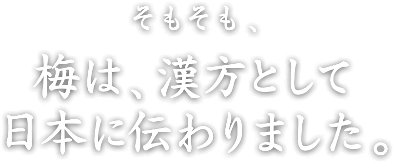 そもそも、梅は、漢方として日本に伝わりました。