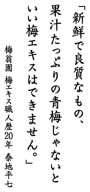 「新鮮で良質なもの、果汁たっぷりの青梅じゃないといい梅エキスはできません。」梅翁園 梅エキス職人歴20年 泰地平七