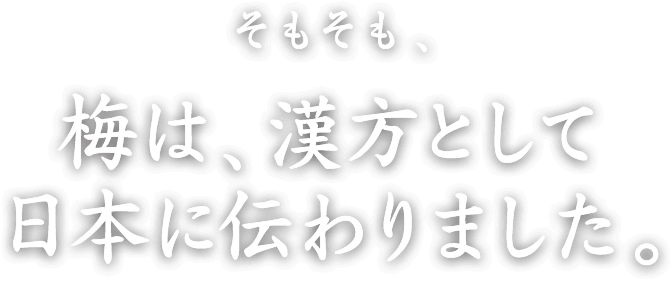 そもそも、梅は、漢方として日本に伝わりました。