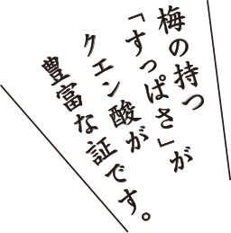 梅の持つ「すっぱさ」がクエン酸が豊富な証です。