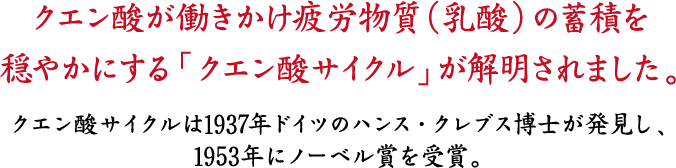 クエン酸が働きかけ疲労物質（乳酸）の蓄積を穏やかにする「クエン酸サイクル」が解明されました。クエン酸サイクルは1937年ドイツのハンス・クレブス博士が発見し、1953年にノーベル賞を受賞。