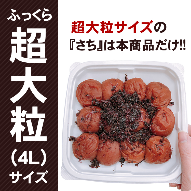 ご家庭用エコパック さち